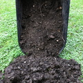 Black Gold - Compost